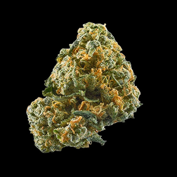 **120 OZ** AAA+ Triple Scoop - Indica Hybrid