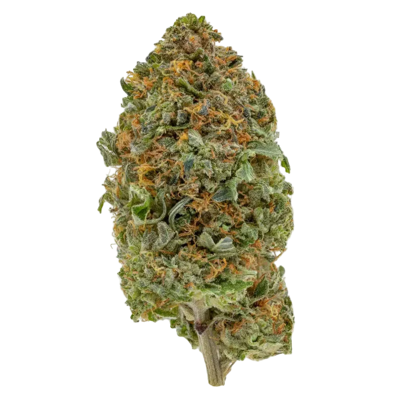 **80 OZ** AAA MK ULTRA SMALL(INDICA HYBRID)