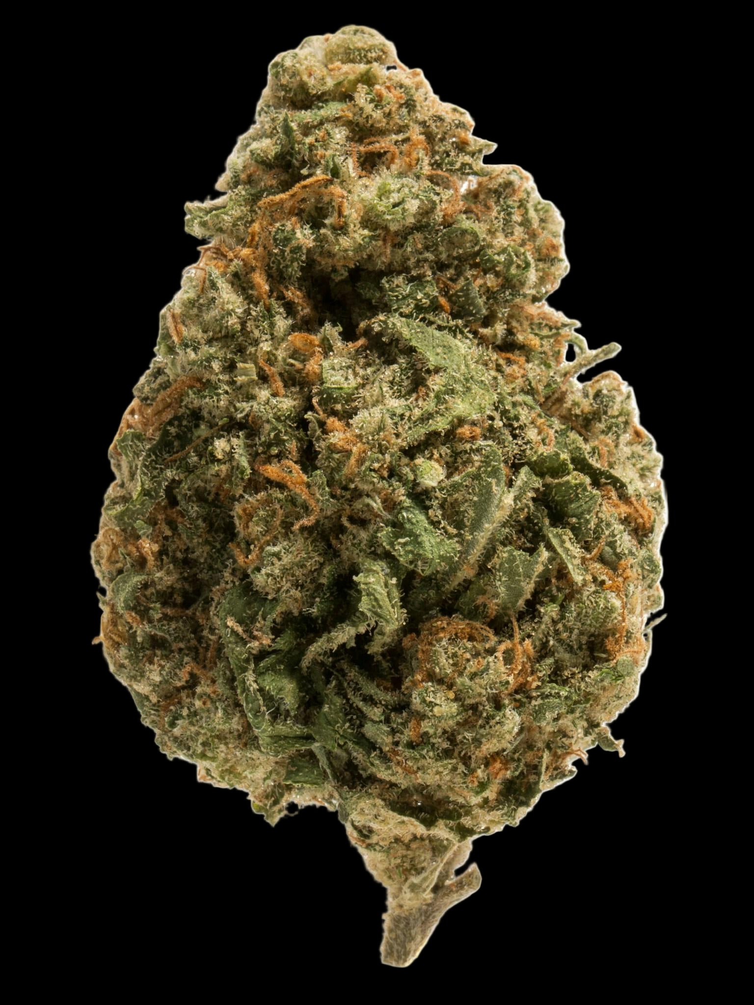 **60oz** AA Cereal Milk - Hybrid